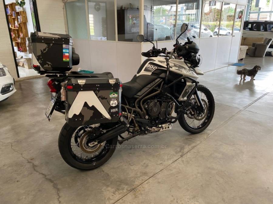 TRIUMPH - TIGER 800 XCX - 2019/2019 - Branca - R$ 50.000,00